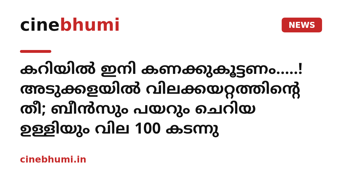 കറിയിൽ ഇനി കണക്കുകൂട്ടണം.....! അടുക്കളയിൽ വിലക്കയറ്റത്തിന്റെ തീ; ബീൻസും പയറും ചെറിയ ഉള്ളിയും വില 100 കടന്നു
