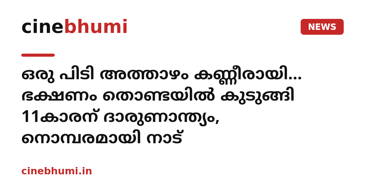 ഒരു പിടി അത്താഴം കണ്ണീരായി... ഭക്ഷണം തൊണ്ടയിൽ കുടുങ്ങി 11കാരന് ദാരുണാന്ത്യം, നൊമ്പരമായി നാട്