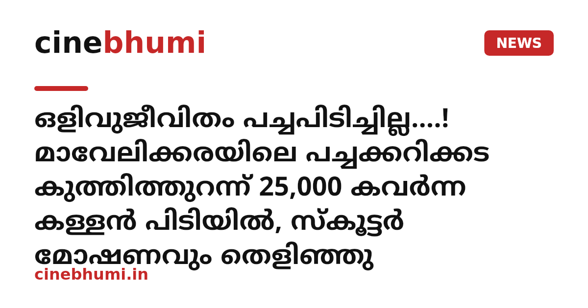 ഒളിവുജീവിതം പച്ചപിടിച്ചില്ല....! മാവേലിക്കരയിലെ പച്ചക്കറിക്കട കുത്തിത്തുറന്ന് 25,000 കവർന്ന കള്ളൻ പിടിയിൽ, സ്കൂട്ടർ മോഷണവും തെളിഞ്ഞു
