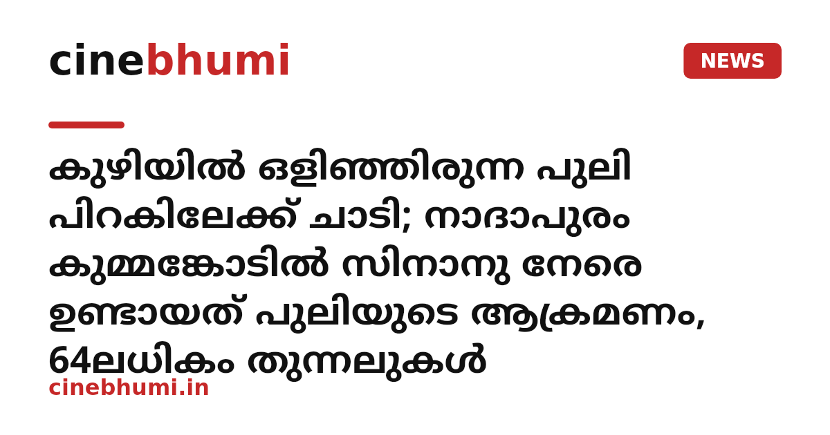 കുഴിയിൽ ഒളിഞ്ഞിരുന്ന പുലി പിറകിലേക്ക് ചാടി; നാദാപുരം കുമ്മങ്കോടിൽ സിനാനു നേരെ ഉണ്ടായത് പുലിയുടെ ആക്രമണം, 64ല​ധി​കം തു​ന്ന​ലു​കൾ