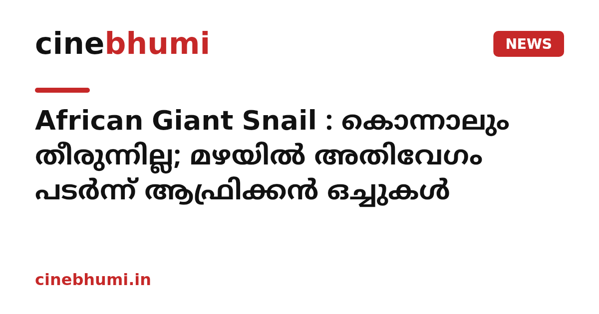 African Giant Snail : കൊന്നാലും തീരുന്നില്ല; മഴയിൽ അതിവേഗം പടർന്ന് ആഫ്രിക്കൻ ഒച്ചുകൾ