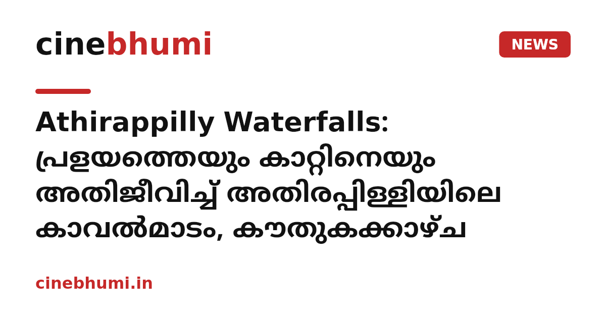Athirappilly Waterfalls: പ്രളയത്തെയും കാറ്റിനെയും അതിജീവിച്ച് അതിരപ്പിള്ളിയിലെ കാവൽമാടം, കൗതുകക്കാഴ്ച