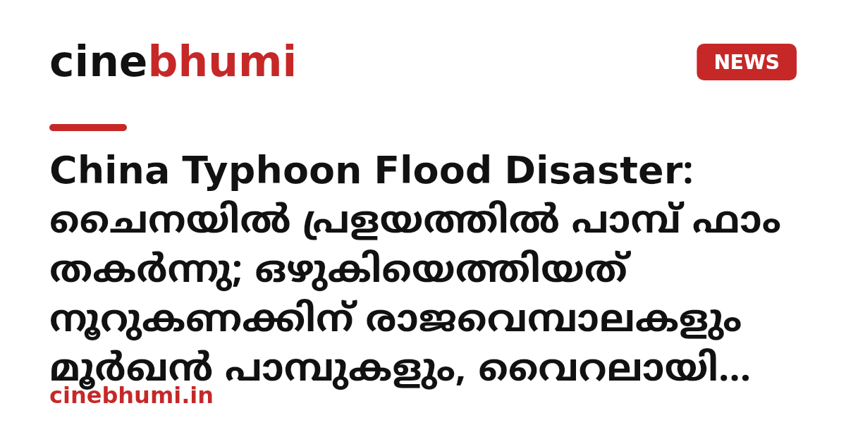 China Typhoon Flood Disaster: ചൈനയിൽ പ്രളയത്തിൽ പാമ്പ് ഫാം തകർന്നു; ഒഴുകിയെത്തിയത് നൂറുകണക്കിന് രാജവെമ്പാലകളും മൂർഖൻ പാമ്പുകളും, വൈറലായി വീഡിയോ