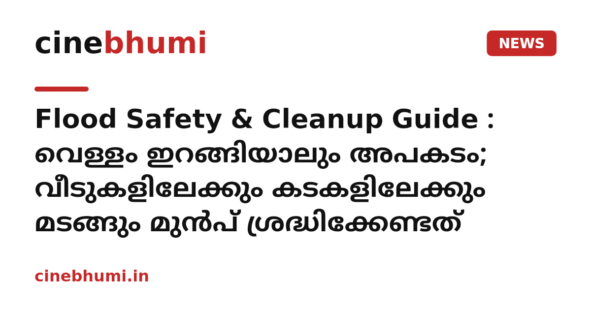 Flood Safety & Cleanup Guide : വെള്ളം ഇറങ്ങിയാലും അപകടം; വീടുകളിലേക്കും കടകളിലേക്കും മടങ്ങും മുൻപ് ശ്രദ്ധിക്കേണ്ടത്