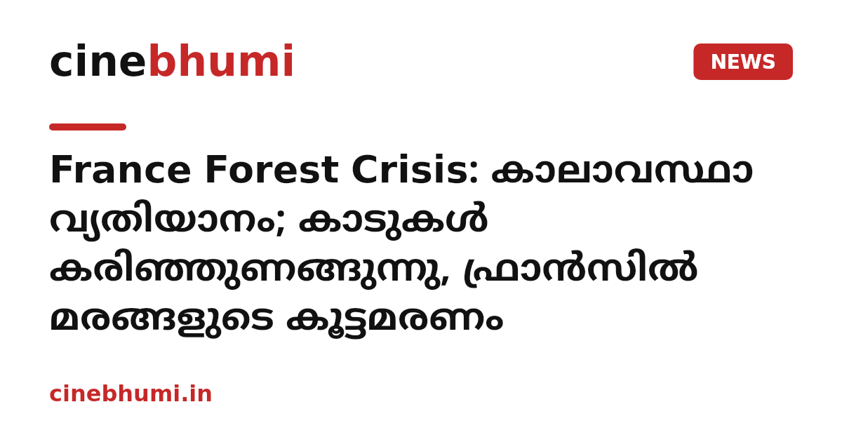 France Forest Crisis: കാലാവസ്ഥാ വ്യതിയാനം; കാടുകൾ കരിഞ്ഞുണങ്ങുന്നു, ഫ്രാൻസിൽ മരങ്ങളുടെ കൂട്ടമരണം