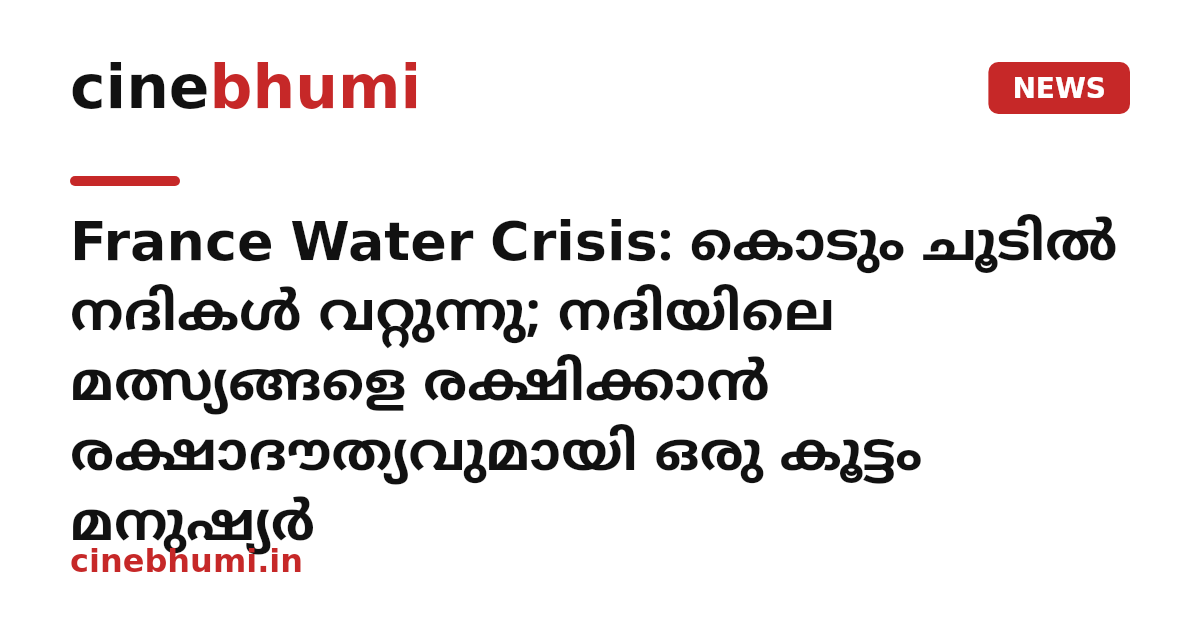 France Water Crisis: കൊടും ചൂടിൽ നദികൾ വറ്റുന്നു; നദിയിലെ മത്സ്യങ്ങളെ രക്ഷിക്കാൻ രക്ഷാദൗത്യവുമായി ഒരു കൂട്ടം മനുഷ്യർ