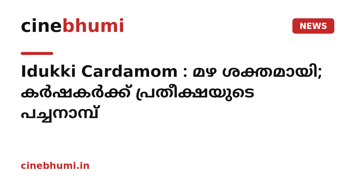 Idukki Cardamom : മഴ ശക്തമായി; കർഷകർക്ക് പ്രതീക്ഷയുടെ പച്ചനാമ്പ്