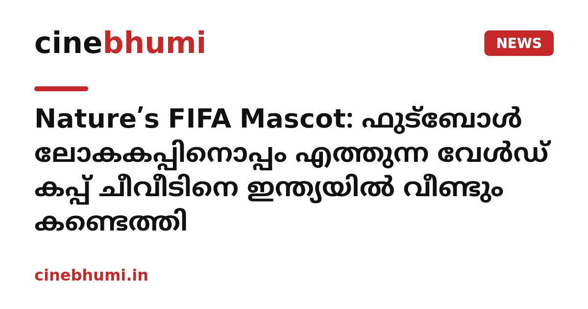 Nature’s FIFA Mascot: ഫുട്ബോൾ ലോകകപ്പിനൊപ്പം എത്തുന്ന വേൾഡ് കപ്പ് ചീവീടിനെ ഇന്ത്യയിൽ വീണ്ടും കണ്ടെത്തി