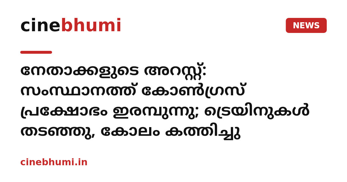 നേതാക്കളുടെ അറസ്റ്റ്: സംസ്ഥാനത്ത് കോൺഗ്രസ് പ്രക്ഷോഭം ഇരമ്പുന്നു; ട്രെയിനുകൾ തടഞ്ഞു, കോലം കത്തിച്ചു