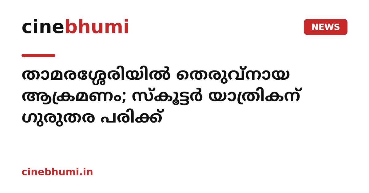 താമരശ്ശേരിയിൽ തെരുവ്നായ ആക്രമണം; സ്കൂട്ടർ യാത്രികന് ഗുരുതര പരിക്ക്