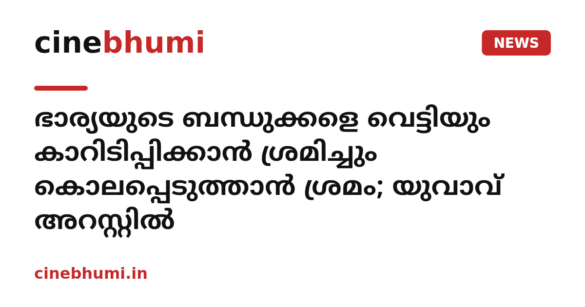 ഭാര്യയുടെ ബന്ധുക്കളെ വെട്ടിയും കാറിടിപ്പിക്കാൻ ശ്രമിച്ചും കൊലപ്പെടുത്താൻ ശ്രമം; യുവാവ് അറസ്റ്റിൽ