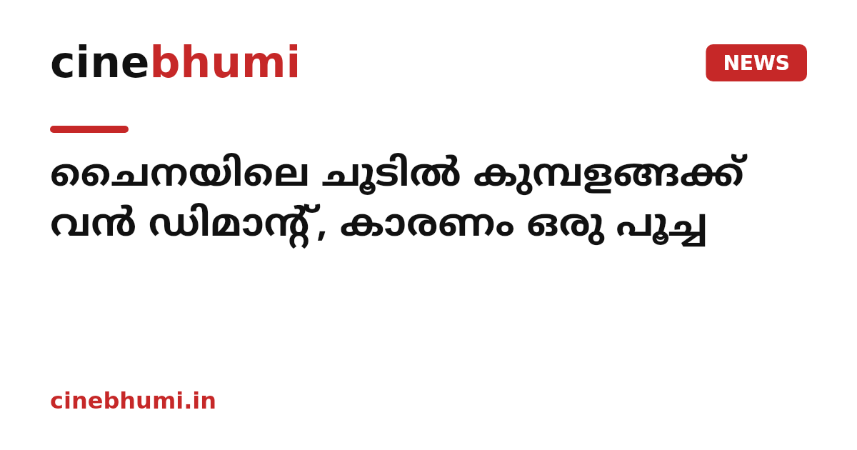 ചൈനയിലെ ചൂടില്‍ കുമ്പളങ്ങക്ക് വന്‍ ഡിമാന്റ്, കാരണം ഒരു പൂച്ച