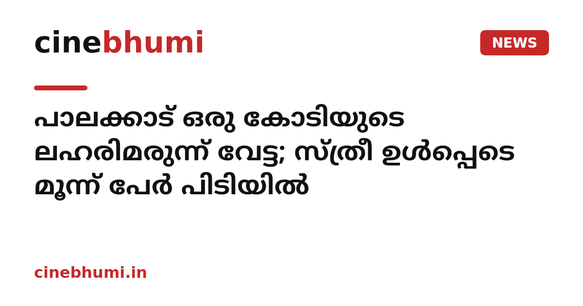പാലക്കാട് ഒരു കോടിയുടെ ലഹരിമരുന്ന് വേട്ട; സ്ത്രീ ഉൾപ്പെടെ മൂന്ന് പേർ പിടിയിൽ