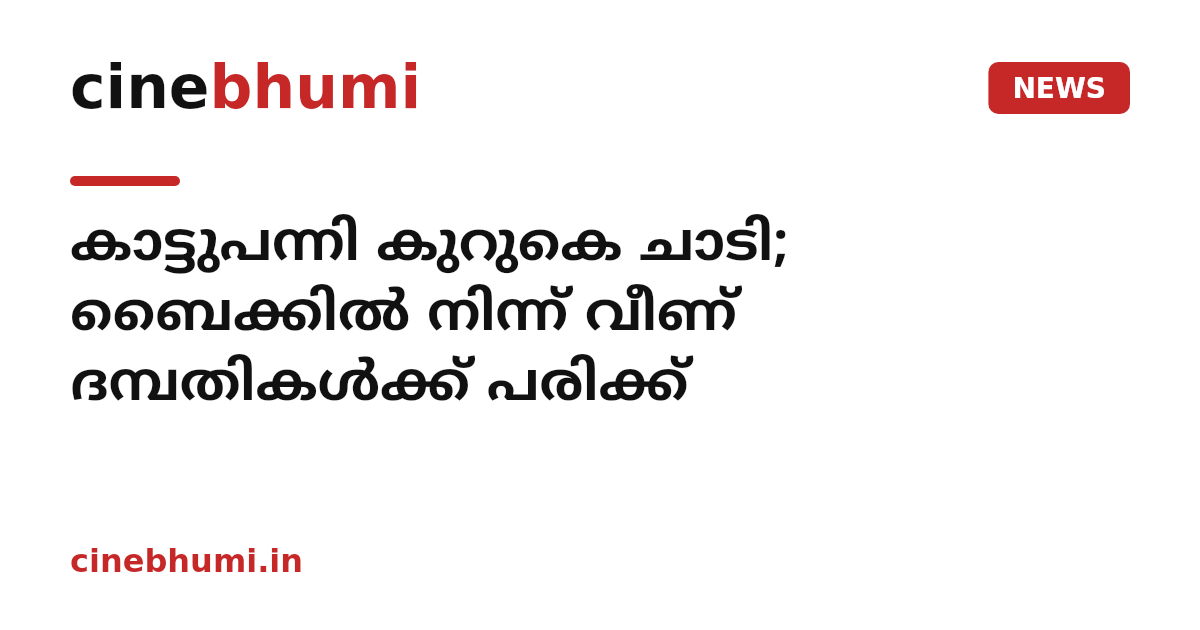 കാട്ടുപന്നി കുറുകെ ചാടി; ബൈക്കിൽ നിന്ന് വീണ് ദമ്പതികൾക്ക് പരിക്ക്