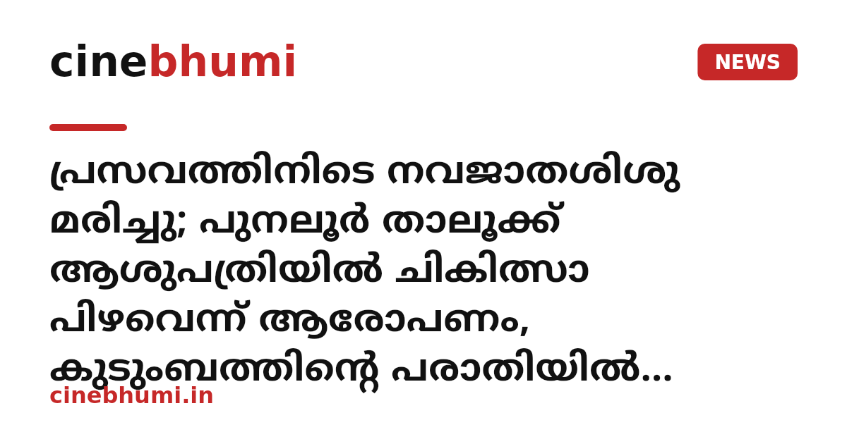 പ്രസവത്തിനിടെ നവജാതശിശു മരിച്ചു; പുനലൂർ താലൂക്ക് ആശുപത്രിയിൽ ചികിത്സാ പിഴവെന്ന് ആരോപണം, കുടുംബത്തിന്റെ പരാതിയിൽ പോലീസ് കേസെടുത്തു