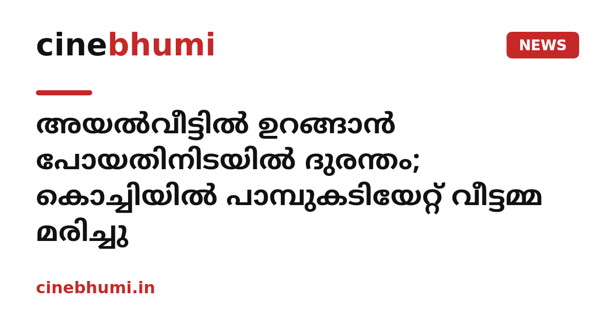 അയൽവീട്ടിൽ ഉറങ്ങാൻ പോയതിനിടയിൽ ദുരന്തം; കൊച്ചിയിൽ പാമ്പുകടിയേറ്റ് വീട്ടമ്മ മരിച്ചു