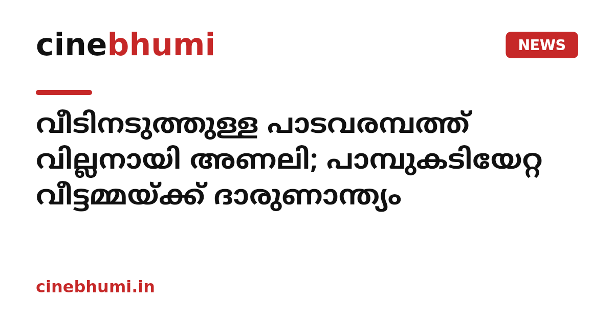വീടിനടുത്തുള്ള പാടവരമ്പത്ത് വില്ലനായി അണലി; പാമ്പുകടിയേറ്റ വീട്ടമ്മയ്ക്ക് ദാരുണാന്ത്യം