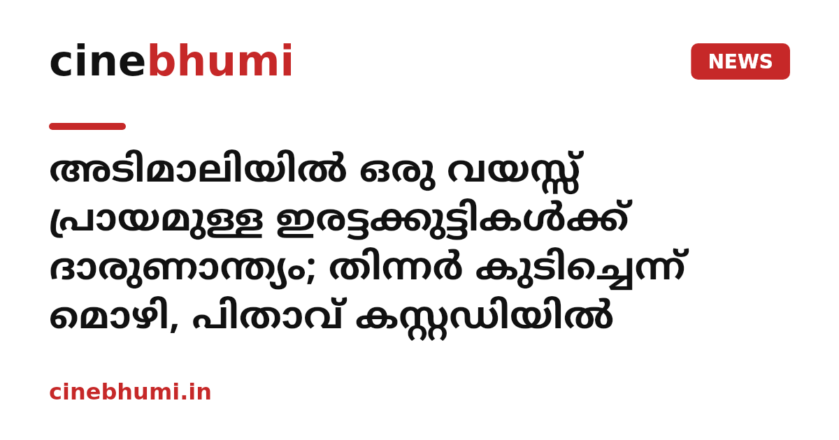 അടിമാലിയിൽ ഒരു വയസ്സ് പ്രായമുള്ള ഇരട്ടക്കുട്ടികൾക്ക് ദാരുണാന്ത്യം; തിന്നർ കുടിച്ചെന്ന് മൊഴി, പിതാവ് കസ്റ്റഡിയിൽ