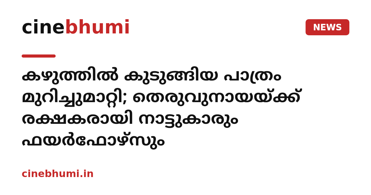 കഴുത്തിൽ കുടുങ്ങിയ പാത്രം മുറിച്ചുമാറ്റി; തെരുവുനായയ്ക്ക് രക്ഷകരായി നാട്ടുകാരും ഫയർഫോഴ്സും
