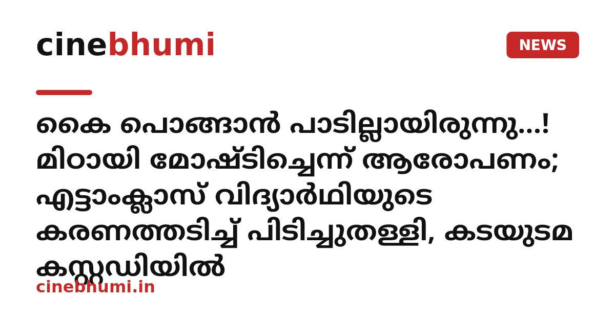 കൈ പൊങ്ങാൻ പാടില്ലായിരുന്നു...! മിഠായി മോഷ്ടിച്ചെന്ന് ആരോപണം; എട്ടാംക്ലാസ് വിദ്യാർഥിയുടെ കരണത്തടിച്ച് പിടിച്ചുതള്ളി, കടയുടമ കസ്റ്റഡിയിൽ