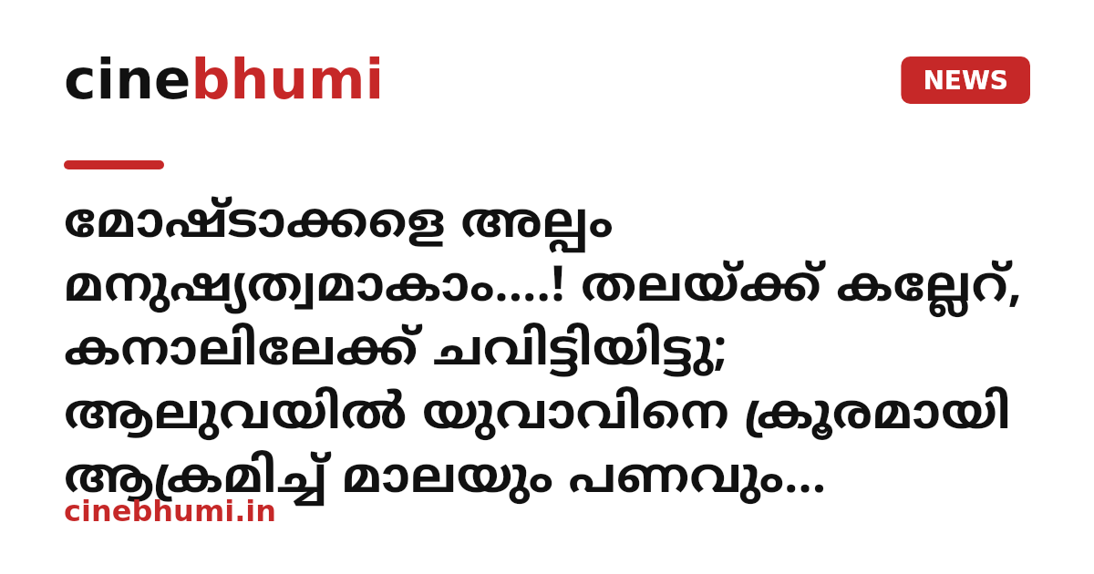 മോഷ്ടാക്കളെ അല്പം മനുഷ്യത്വമാകാം....! തലയ്ക്ക് കല്ലേറ്, കനാലിലേക്ക് ചവിട്ടിയിട്ടു; ആലുവയിൽ യുവാവിനെ ക്രൂരമായി ആക്രമിച്ച് മാലയും പണവും കവർന്നു