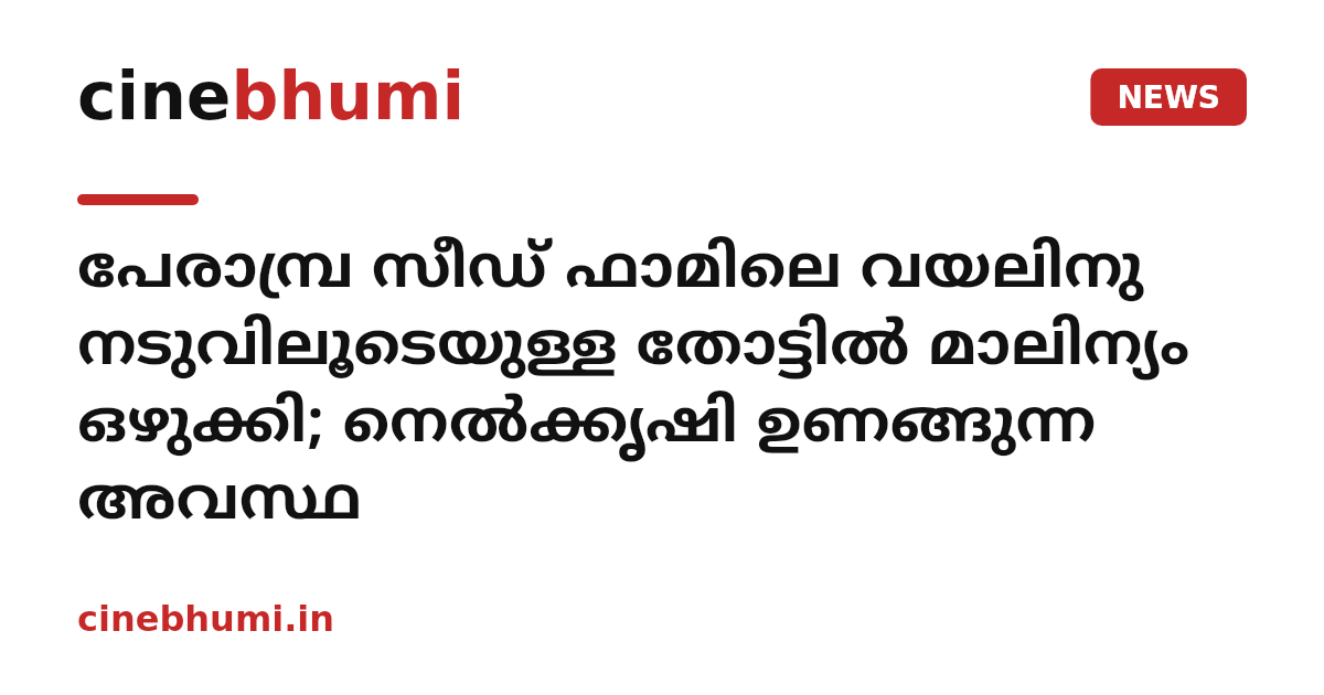 പേരാമ്പ്ര സീഡ് ഫാമിലെ വയലിനു നടുവിലൂടെയുള്ള തോട്ടില്‍ മാലിന്യം ഒഴുക്കി; നെല്‍ക്കൃഷി ഉണങ്ങുന്ന അവസ്ഥ