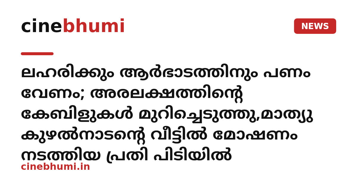 ലഹരിക്കും ആർഭാടത്തിനും പണം വേണം; അരലക്ഷത്തിന്റെ കേബിളുകൾ മുറിച്ചെടുത്തു,മാത്യു കുഴൽനാടന്റെ വീട്ടിൽ മോഷണം നടത്തിയ പ്രതി പിടിയിൽ