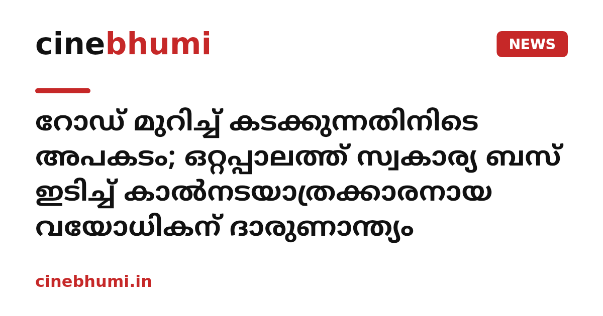 റോഡ് മുറിച്ച് കടക്കുന്നതിനിടെ അപകടം; ഒറ്റപ്പാലത്ത് സ്വകാര്യ ബസ് ഇടിച്ച് കാൽനടയാത്രക്കാരനായ വയോധികന് ദാരുണാന്ത്യം