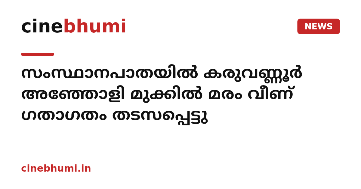 സംസ്ഥാനപാതയിൽ കരുവണ്ണൂർ അഞ്ഞോളി മുക്കിൽ മരം വീണ് ഗതാഗതം തടസപ്പെട്ടു
