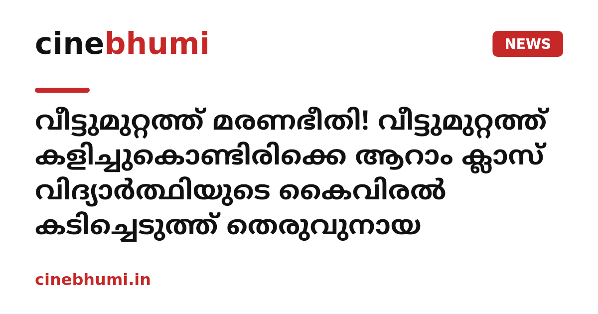 വീട്ടുമുറ്റത്ത് മരണഭീതി! വീട്ടുമുറ്റത്ത് കളിച്ചുകൊണ്ടിരിക്കെ ആറാം ക്ലാസ് വിദ്യാർത്ഥിയുടെ കൈവിരൽ കടിച്ചെടുത്ത് തെരുവുനായ
