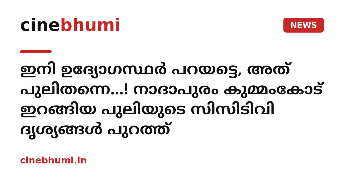 ഇനി ഉദ്യോഗസ്ഥർ പറയട്ടെ, അത് പുലിതന്നെ...! നാദാപുരം കുമ്മംകോട് ഇറങ്ങിയ പുലിയുടെ സിസിടിവി ദൃശ്യങ്ങൾ പുറത്ത്