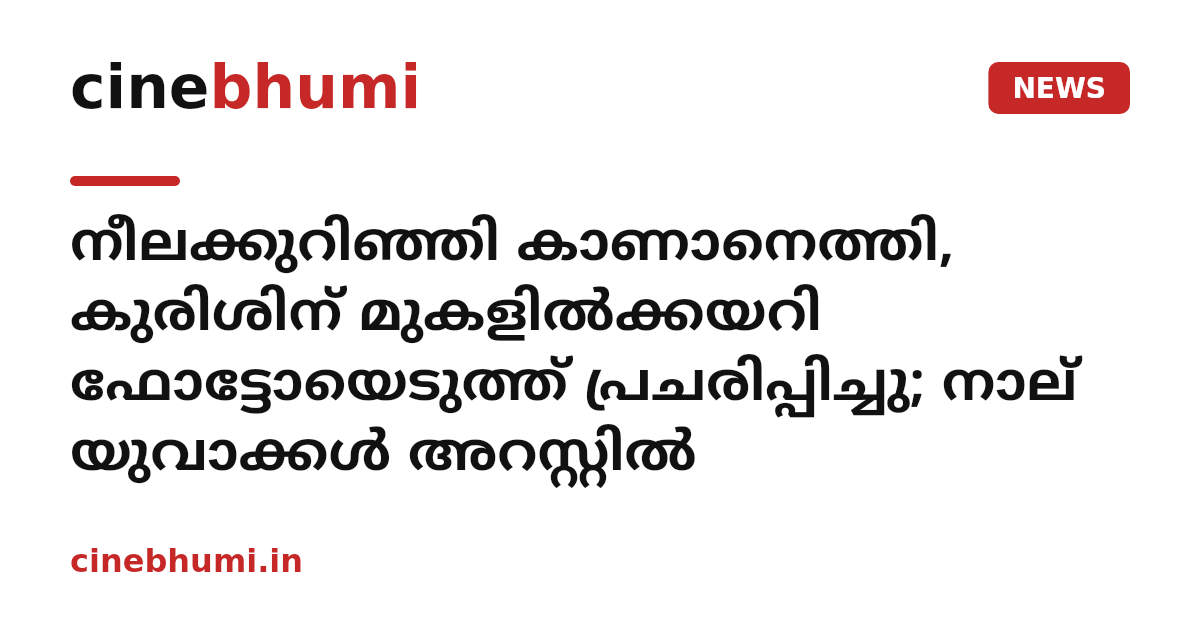 നീലക്കുറിഞ്ഞി കാണാനെത്തി, കുരിശിന് മുകളിൽക്കയറി ഫോട്ടോയെടുത്ത് പ്രചരിപ്പിച്ചു; നാല് യുവാക്കൾ അറസ്റ്റിൽ