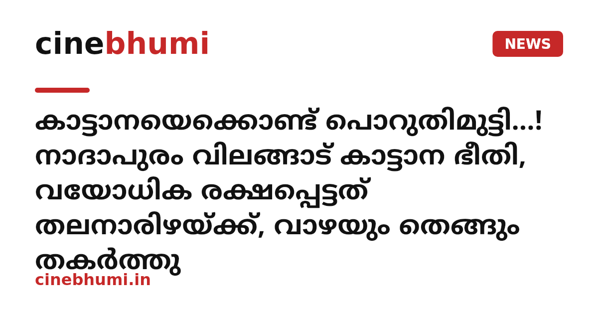 കാട്ടാനയെക്കൊണ്ട് പൊറുതിമുട്ടി...! നാദാപുരം വിലങ്ങാട് കാട്ടാന ഭീതി, വയോധിക രക്ഷപ്പെട്ടത് തലനാരിഴയ്ക്ക്, വാഴയും തെങ്ങും തകർത്തു