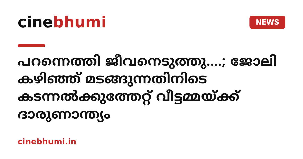 പറന്നെത്തി ജീവനെടുത്തു....; ജോലി കഴിഞ്ഞ് മടങ്ങുന്നതിനിടെ കടന്നൽക്കുത്തേറ്റ് വീട്ടമ്മയ്ക്ക് ദാരുണാന്ത്യം