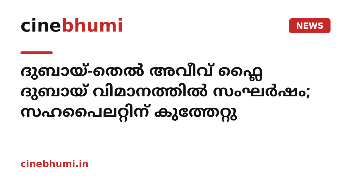 ദുബായ്-തെൽ അവീവ് ഫ്ലൈ ദുബായ് വിമാനത്തിൽ സംഘർഷം; സഹപൈലറ്റിന് കുത്തേറ്റു