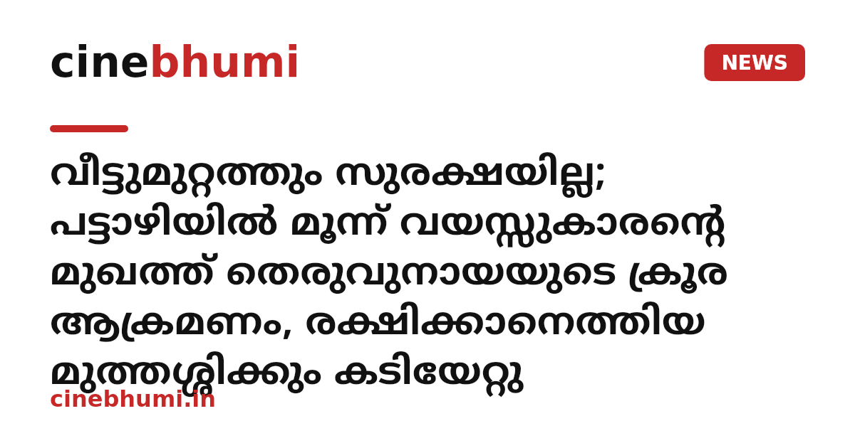 വീട്ടുമുറ്റത്തും സുരക്ഷയില്ല; പട്ടാഴിയിൽ മൂന്ന് വയസ്സുകാരന്റെ മുഖത്ത് തെരുവുനായയുടെ ക്രൂര ആക്രമണം, രക്ഷിക്കാനെത്തിയ മുത്തശ്ശിക്കും കടിയേറ്റു
