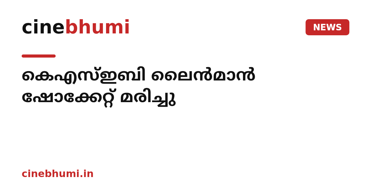 കെഎസ്ഇബി ലൈൻമാൻ ഷോക്കേറ്റ് മരിച്ചു