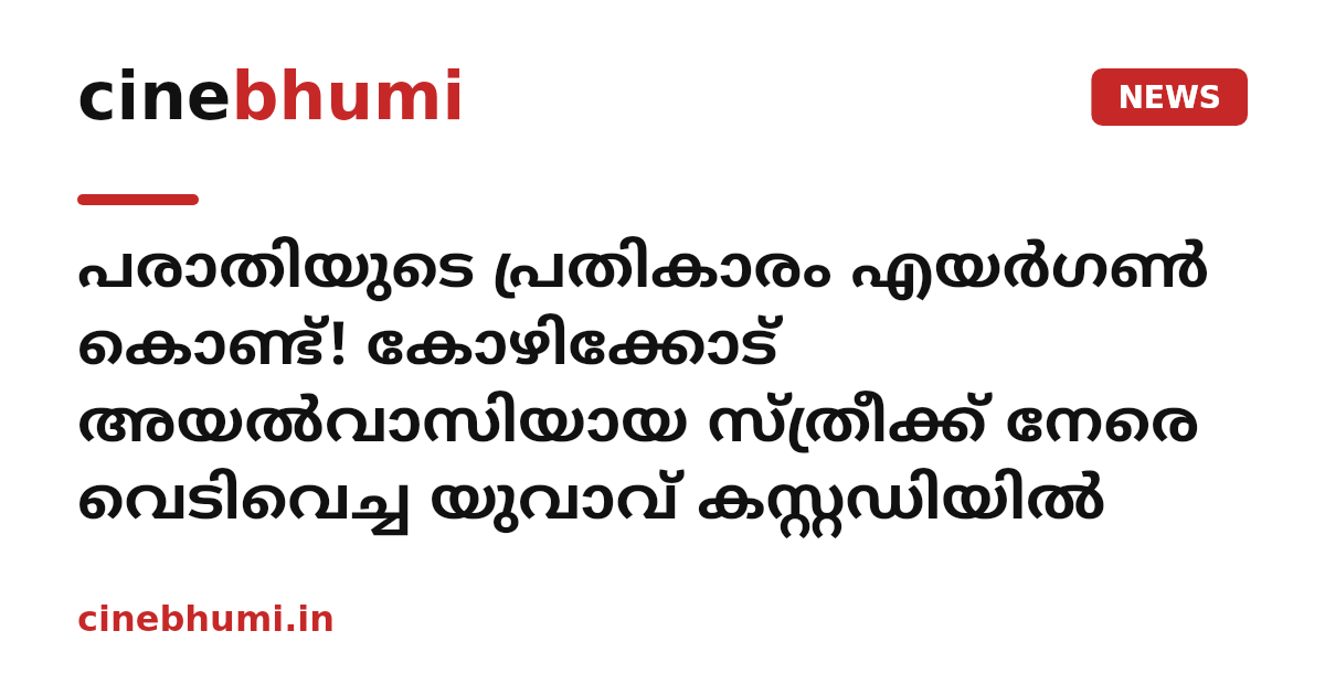 പരാതിയുടെ പ്രതികാരം എയർഗൺ കൊണ്ട്! കോഴിക്കോട് അയൽവാസിയായ സ്ത്രീക്ക് നേരെ വെടിവെച്ച യുവാവ് കസ്റ്റഡിയിൽ