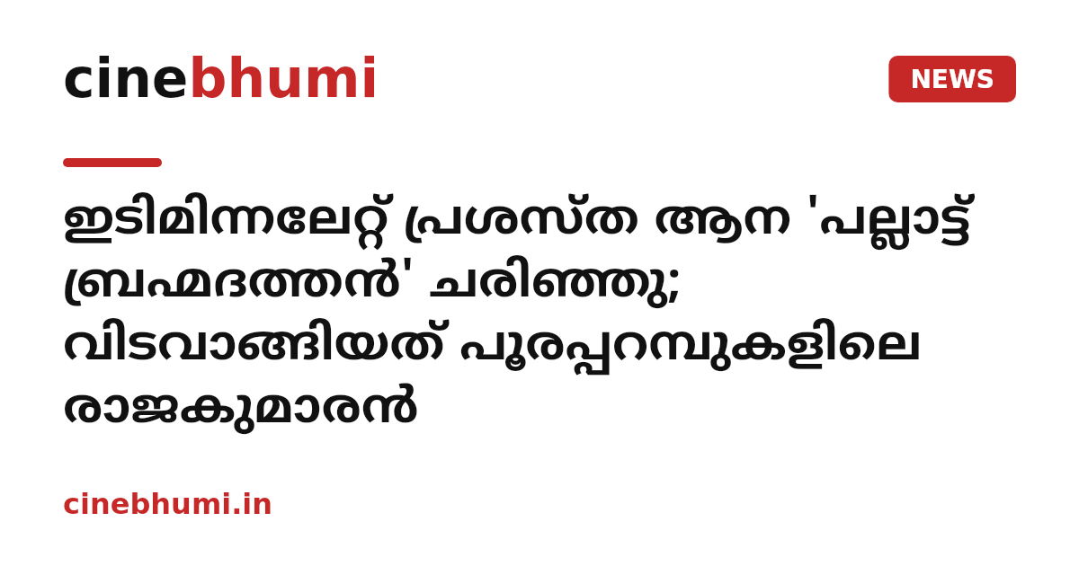 ഇടിമിന്നലേറ്റ് പ്രശസ്ത ആന 'പല്ലാട്ട് ബ്രഹ്മദത്തൻ' ചരിഞ്ഞു; വിടവാങ്ങിയത് പൂരപ്പറമ്പുകളിലെ രാജകുമാരൻ