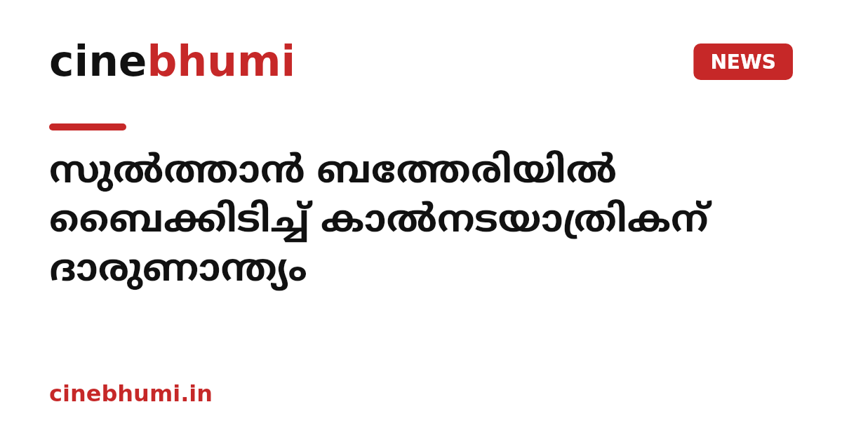 സുൽത്താൻ ബത്തേരിയിൽ ബൈക്കിടിച്ച് കാൽനടയാത്രികന് ദാരുണാന്ത്യം