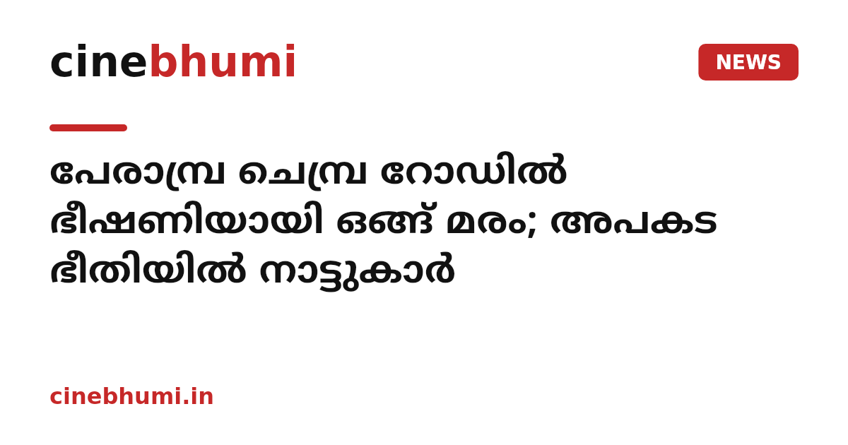 പേരാമ്പ്ര ചെമ്പ്ര റോഡില്‍ ഭീഷണിയായി ഒങ്ങ് മരം; അപകട ഭീതിയില്‍ നാട്ടുകാര്‍