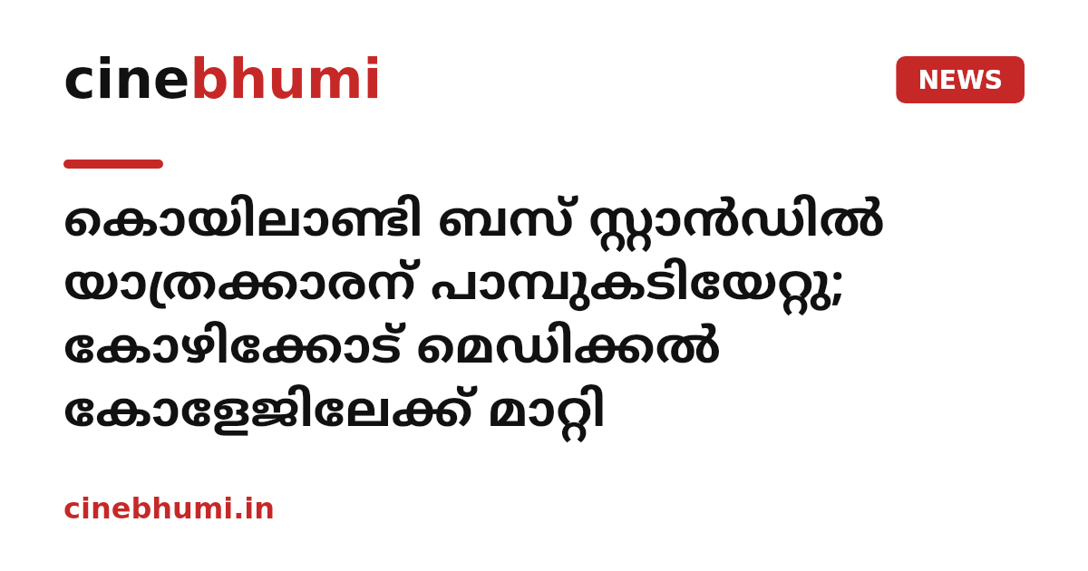 കൊയിലാണ്ടി ബസ് സ്റ്റാൻഡിൽ യാത്രക്കാരന് പാമ്പുകടിയേറ്റു; കോഴിക്കോട് മെഡിക്കൽ കോളേജിലേക്ക് മാറ്റി