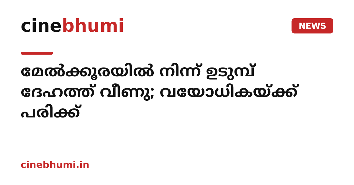 മേൽക്കൂരയിൽ നിന്ന് ഉടുമ്പ് ദേഹത്ത് വീണു; വയോധികയ്ക്ക് പരിക്ക്