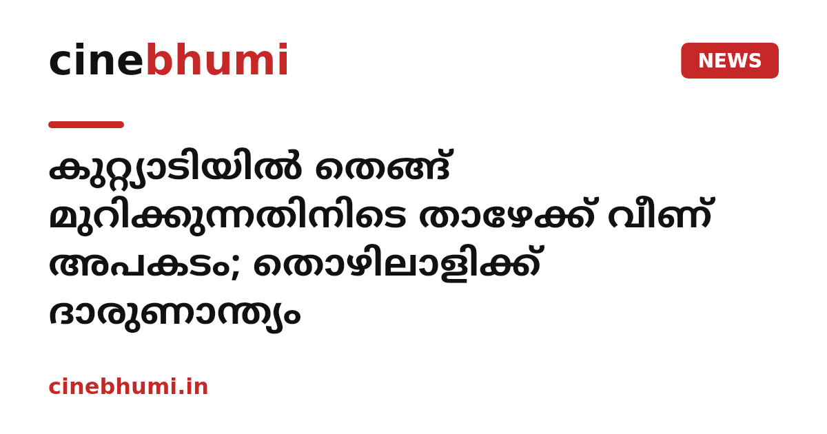 കുറ്റ്യാടിയിൽ തെങ്ങ് മുറിക്കുന്നതിനിടെ താഴേക്ക് വീണ് അപകടം; തൊഴിലാളിക്ക് ദാരുണാന്ത്യം