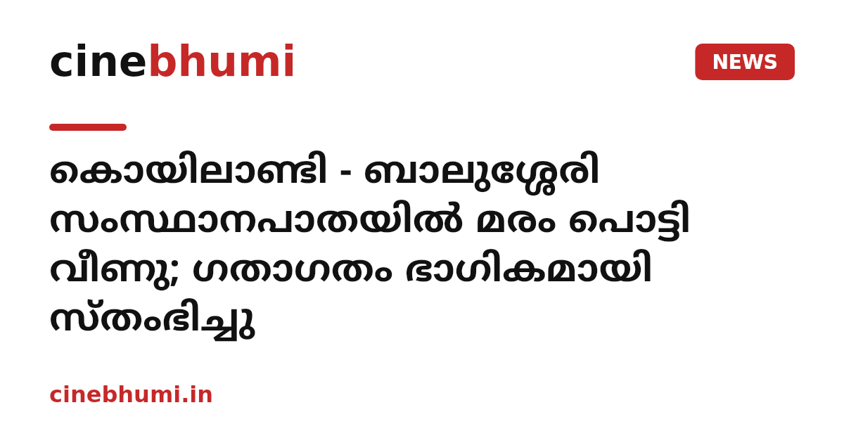 കൊയിലാണ്ടി - ബാലുശ്ശേരി സംസ്ഥാനപാതയിൽ മരം പൊട്ടി വീണു; ഗതാഗതം ഭാഗികമായി സ്തംഭിച്ചു