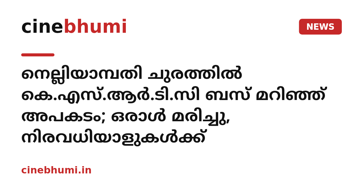 നെല്ലിയാമ്പതി ചുരത്തിൽ കെ.എസ്.ആർ.ടി.സി ബസ് മറിഞ്ഞ് അപകടം; ഒരാൾ മരിച്ചു, നിരവധിയാളുകൾക്ക്