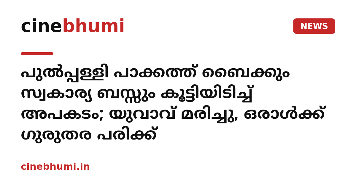 പുൽപ്പള്ളി പാക്കത്ത് ബൈക്കും സ്വകാര്യ ബസ്സും കൂട്ടിയിടിച്ച് അപകടം; യുവാവ് മരിച്ചു, ഒരാൾക്ക് ഗുരുതര പരിക്ക്
