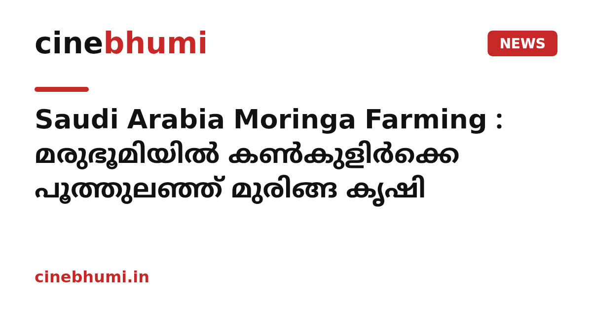 Saudi Arabia Moringa Farming : മരുഭൂമിയിൽ കൺകുളിർക്കെ പൂത്തുലഞ്ഞ് മുരിങ്ങ കൃഷി