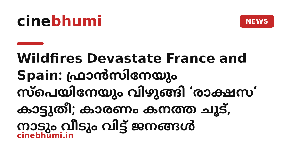 Wildfires Devastate France and Spain: ഫ്രാൻസിനേയും സ്പെയിനേയും വിഴുങ്ങി ‘രാക്ഷസ’ കാട്ടുതീ; കാരണം കനത്ത ചൂട്, നാടും വീടും വിട്ട് ജനങ്ങൾ